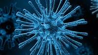 Ein Virus unter dem Mikroskop