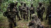 Soldaten besprechen sich im Wald