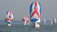 Several sailing boats on the water