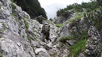 Drei Jugendliche in Flecktarn klettern in einer Felswand nach oben.