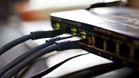 Netzwerkkabel in einem Switch eingesteckt