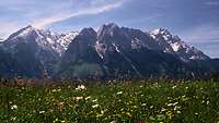 Die Zugspitze auf dem Standortübungsplatz in Mittenwald mit Blumenwiese im Vordergrund