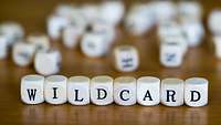 Würfel mit der Aufschrift Wildcard liegen auf dem Tisch