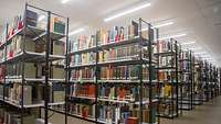 Die Fachliteratur Es sind mehrere Bücher auf Regalen zu sehen.