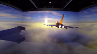 Fliegendes FLugzeug