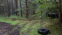 Getarnte Fahrzeuge im Wald sind nahezu unsichtbar.