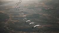 Freifaller gleiten in der Snake-Formation in der Luft