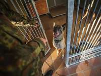 Ein Soldat öffnet die Tür eines Zwingers, in dem ein Hund sitzt