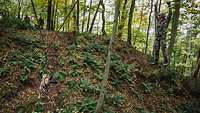 Ein Hund hängt an einer Seilrutsche über einer Schlucht im Wald. Daneben steht ein Soldat auf einem Seil gesichert.