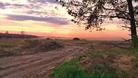 Auf einer weiten Lichtung stehen Panzer in einem größeren Abstand in einer Reihe. Der Himmel leuchtet im Sonnenuntergang.