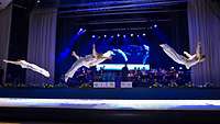 20170310_BallderLuftwaffe_JohannesHeyn_0578