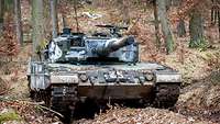 Auf einem engen Waldweg steht ein Kampfpanzer.