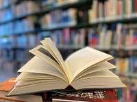 Fachpublikationen des ZGeoBw Ein aufgeklapptes Buch in einer Bücherei.