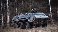 Ein Transportpanzer Fuchs bei der Fahrt in bewaldetem Gelände. Zwei Soldaten sind über der Luke zu sehen.