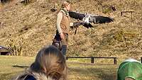 Kinder beobachten eine Flugshow mit einem Adler