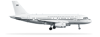 Ein Flugzeug vom Typ Airbus A319CJ freigestellt in Seitenansicht