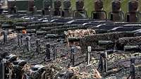 Zahlreiche Schützenpanzer stehen eng aufgereiht nebeneinander.