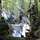 Soldaten stehen und sitzen im Wald