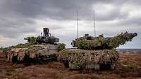 Zwei mit Zweigen getarnte Panzer stehen auf der Heide nebeneinander bei wolkigem, grauem Himmel.