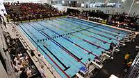 Blick in eine Schwimmhalle mit vielen Zuschauern während eines Sportwettkampfes.