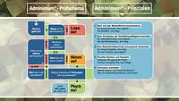 Schematische Darstellung des Prüfschemas und der Prinzipien von Adminimum