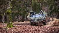 Ein getarnter Spähwagen Fennek fährt durch einen Wald.