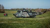 Ein Hubschrauber vom Typ Sea King ist auf einem Feld gelandet, eine kleine Gruppe Menschen läuft zu ihm