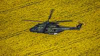 Ein Transporthubschrauber NH-90 fliegt über ein Feld