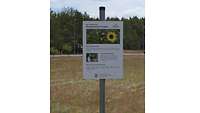 Ein Schild vor einer Wiese, dass über Bienen informiert.