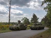 Norwegische Panzer in der Sicherung Zwei Panzer stehen auf einem asphaltierten Waldweg in der Sicherung.