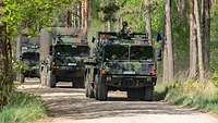 Bundeswehrfahrzeuge fahren durch den Wald auf unbefestigten Wegen