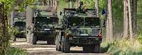 Bundeswehrfahrzeuge fahren durch den Wald auf unbefestigten Wegen