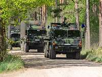 Bundeswehrfahrzeuge fahren durch den Wald auf unbefestigten Wegen
