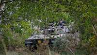 Ein Schützenpanzer steht im Dickicht in Stellung.