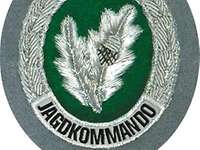 Sonderabzeichen Jagdkommando Abzeichen mit grünem Hintergrund darauf silbernes Eichenlaub und der Schriftzug Jagdkommando