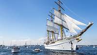 Ein weißes dreimastiges Segelschiff in See, umgeben von kleineren Segelbooten.