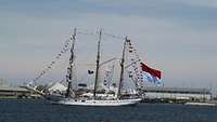 Ein weißes Segelschulschiff befindet sich in See.