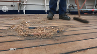 Holzspäne auf Holzdeck