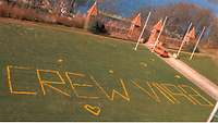 Gelbe Blumen auf einer Wiese bilden die Zeichen CREW VII98