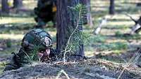 Ein Soldat liegt mit seinem Gewehr im Anschlag in einem Kiefernwald.
