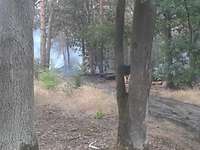 Der Grunewald brennt Ein Tankwagen betankt einen Panzer.