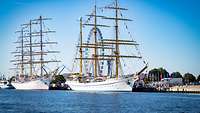 Im Hafen von Warnemünde ankern zwei große weiße Segelschulschiffe