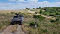 Zwei GTK Boxer kommen mit einem Abstand von zirka 100 Metern zueinander über einen Sandweg herangefahren 