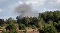 Über einem Waldstück steigt nach einer Explosion eine Rauchwolke auf.