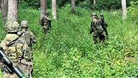 Soldatinnen und Soldaten eines Panzervernichtungstrupps laufen durch das Unterholz eines Waldes.