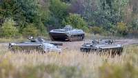 Drei slowakische Schützenpanzer fahren auf einer Sandpiste