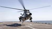 Hubschrauber Sea King bei der Deckslandung Ein Hubschrauber vom Typ Sea King landet auf dem Flugdeck eines Schiffes.