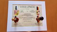 Urkunde mit zwei Wappen, zwei Siegelstempeln und Schrift