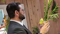 Ein Rabbiner hält eine Zitrusfrucht und Zweige von Bachweiden, Myrte und Palme.