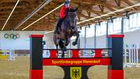 Ein Mann mit roter Jacke springt mit einem braunen Pferd über ein Hindernis mit der Aufschrift „Sportfördergruppe Warendorf“.